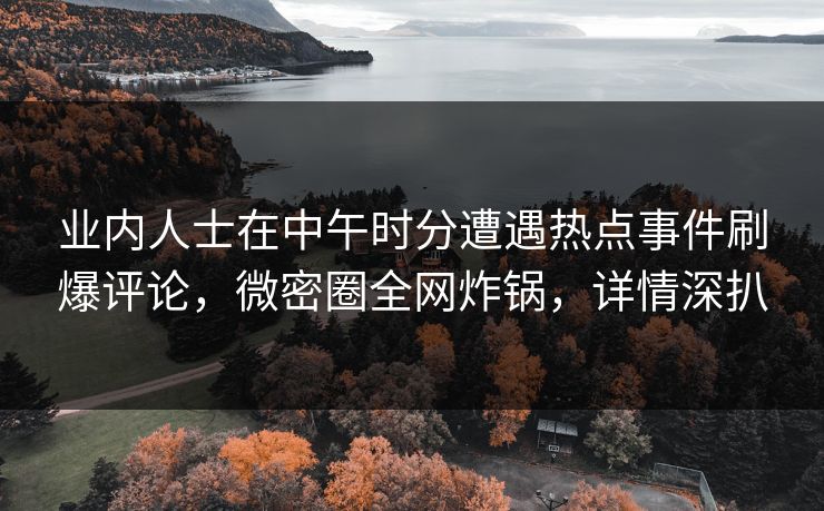 业内人士在中午时分遭遇热点事件刷爆评论，微密圈全网炸锅，详情深扒