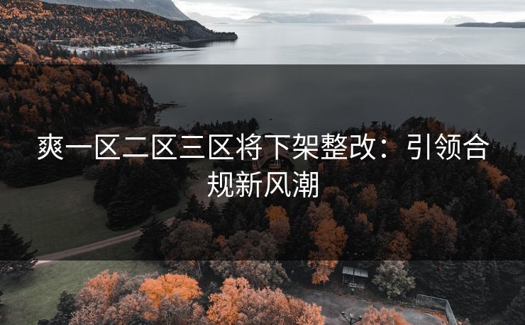 爽一区二区三区将下架整改：引领合规新风潮