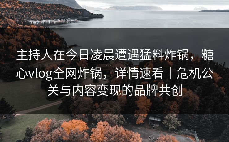 主持人在今日凌晨遭遇猛料炸锅，糖心vlog全网炸锅，详情速看｜危机公关与内容变现的品牌共创